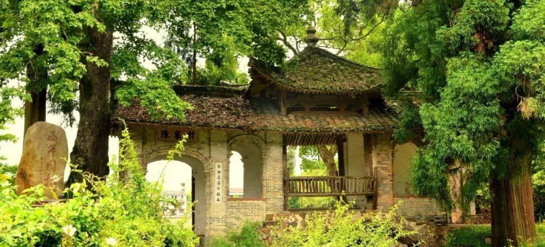 探索离异办理结婚证需要什么材料?- 红迪网平台