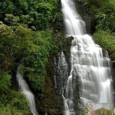 银河中动物逃生